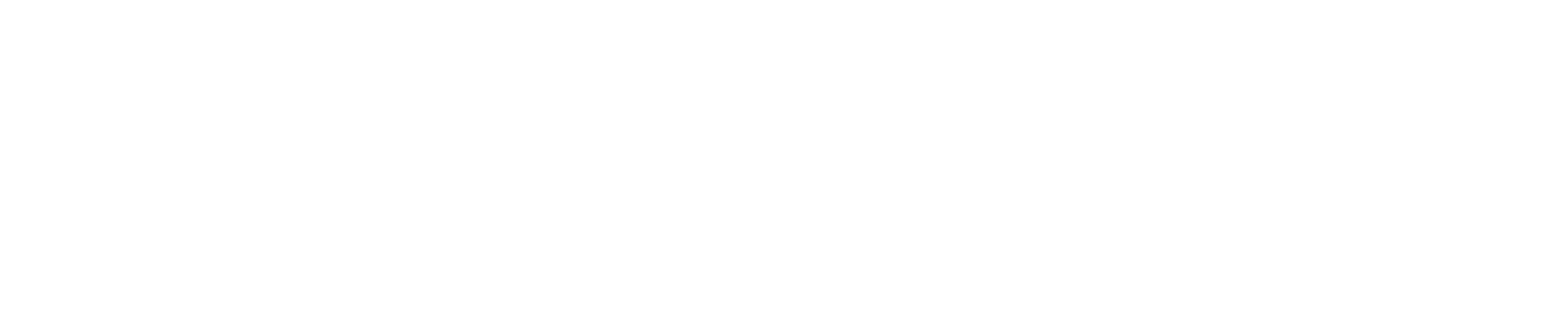 Wildbunch Styles